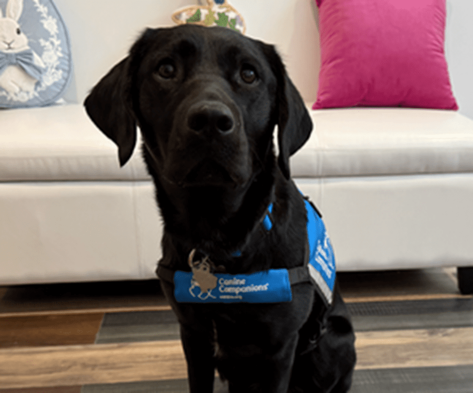 Service Dogs Welcome at Lumsden Law